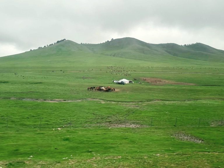 Night Thoughts on the Grasslands near Ulaanbaatar. Dr. Song Jia Jun